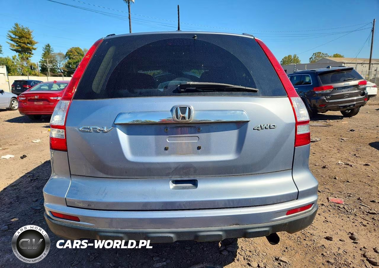 2010 Honda Cr-V Exl VIN:5J6RE4H7XAL099437 - 6