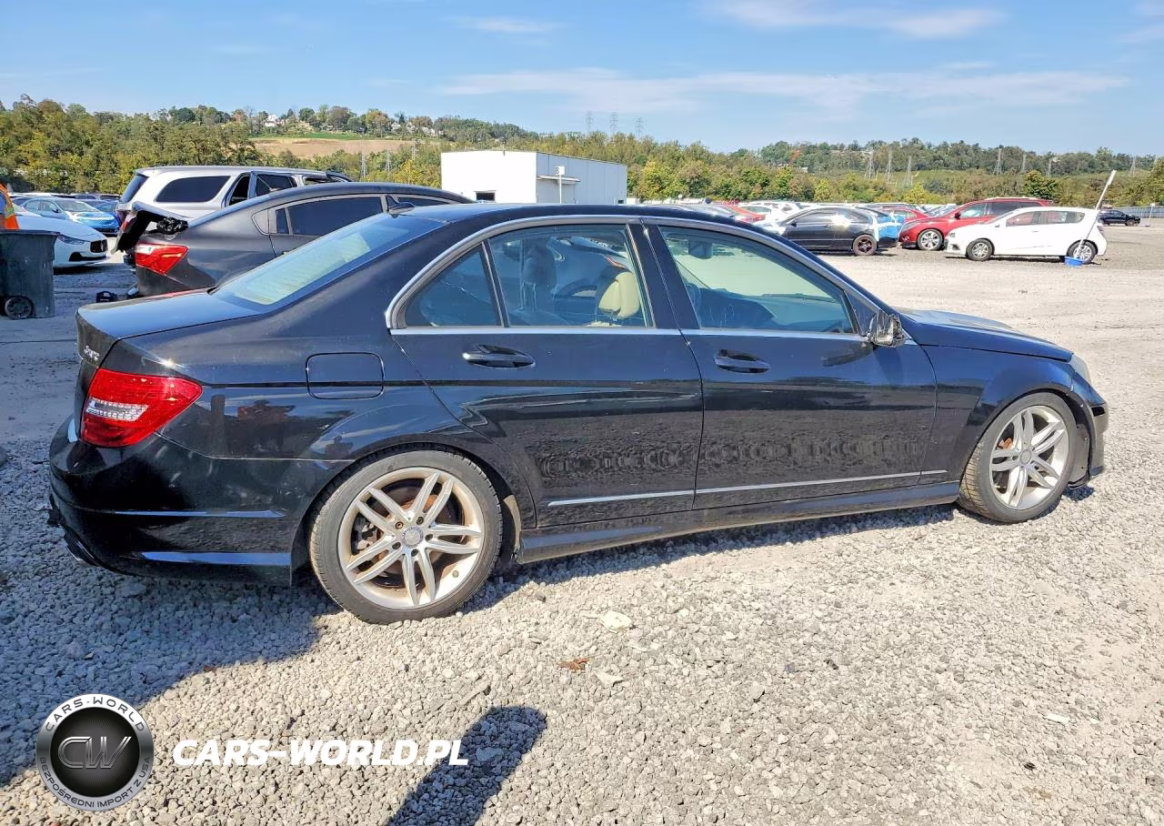2013 Mercedes-Benz C 300 4Matic VIN:WDDGF8AB9DR254132 - 3