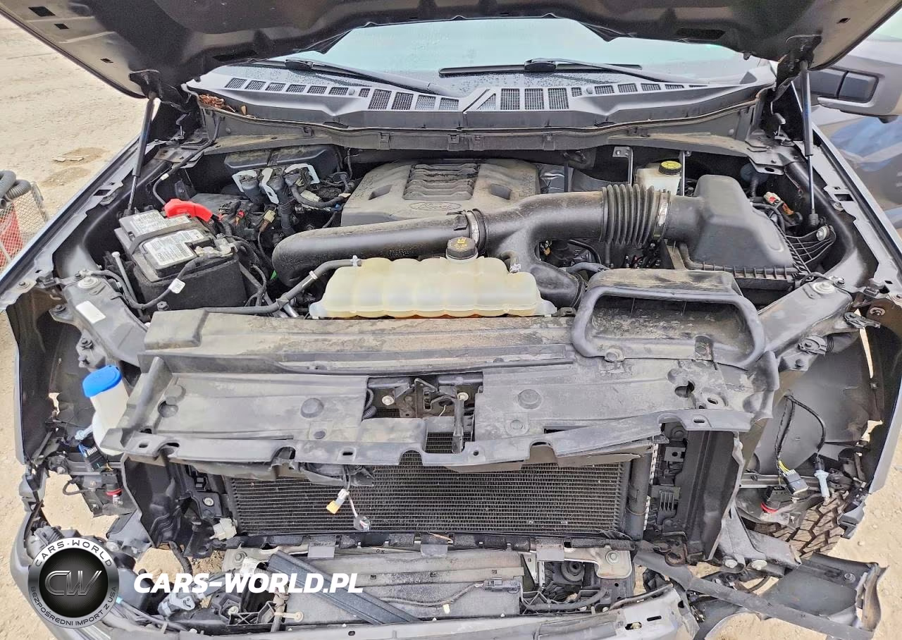 2021 Ford F150 Supercrew VIN:1FTFW1E8XMFC21881 - 11