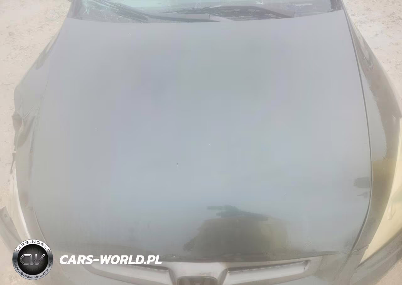 2005 Honda Accord Lx VIN:1HGCM56495A010618 - 11