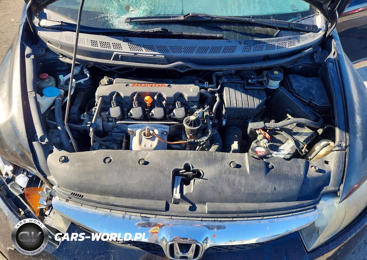 2010 Honda Civic Exl VIN:19XFA1F99AE012773 - 11