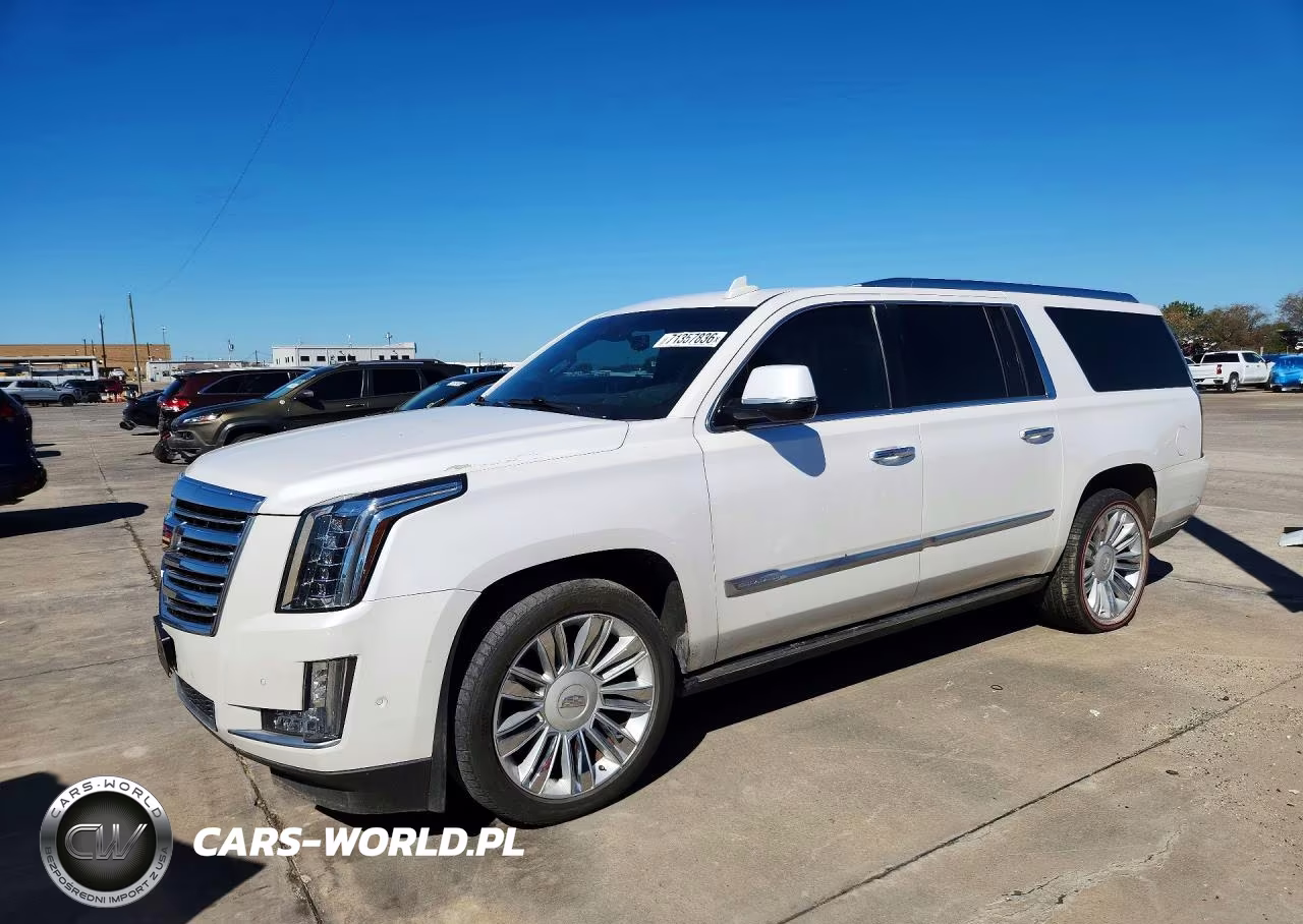 2019 Cadillac Escalade Esv Platinum VIN:1GYS4KKJ8KR176625 - 1