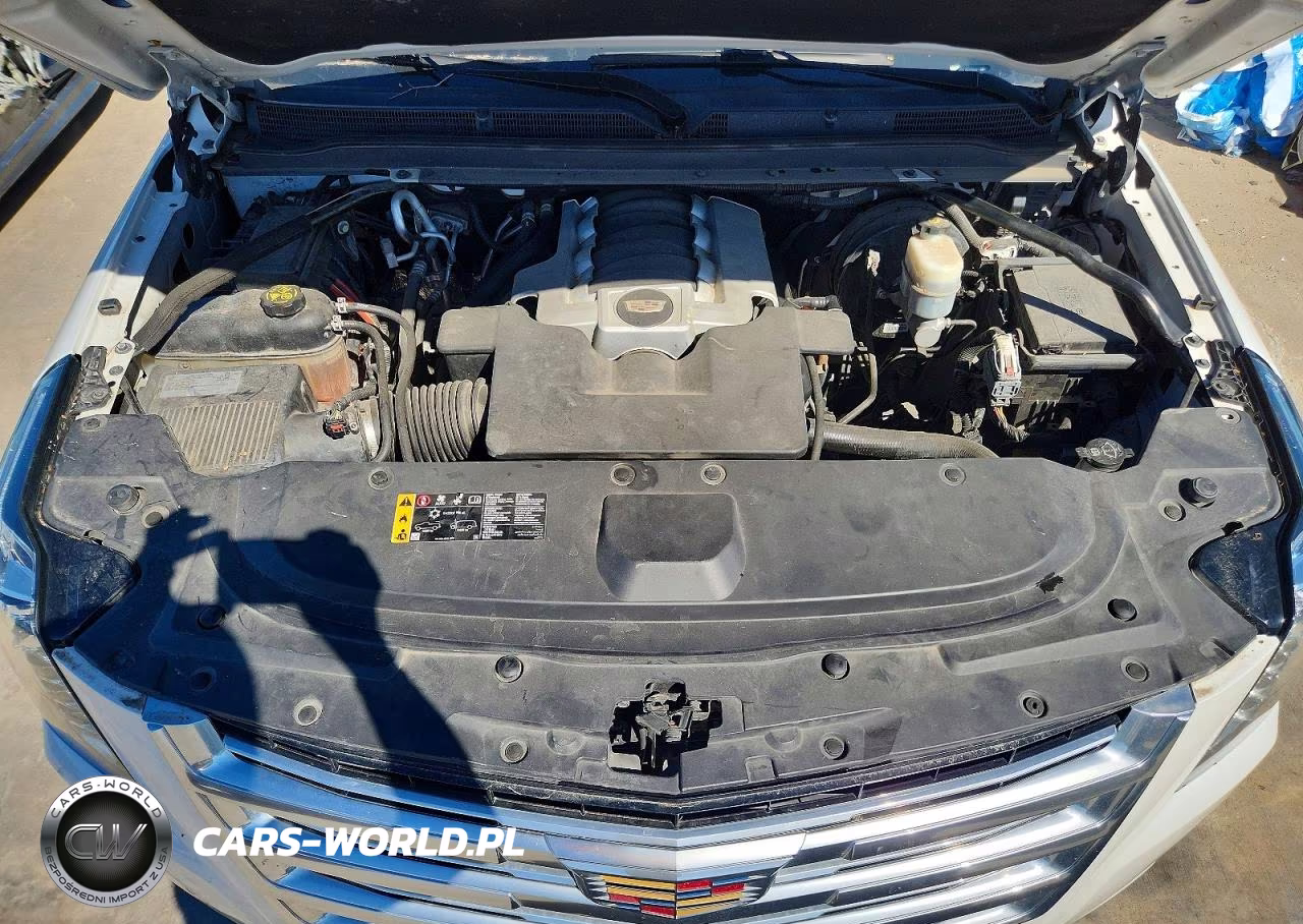 2019 Cadillac Escalade Esv Platinum VIN:1GYS4KKJ8KR176625 - 12