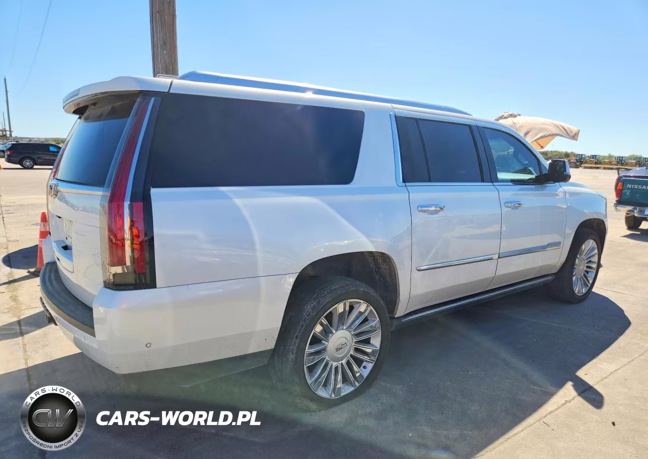 2019 Cadillac Escalade Esv Platinum VIN:1GYS4KKJ8KR176625 - 3