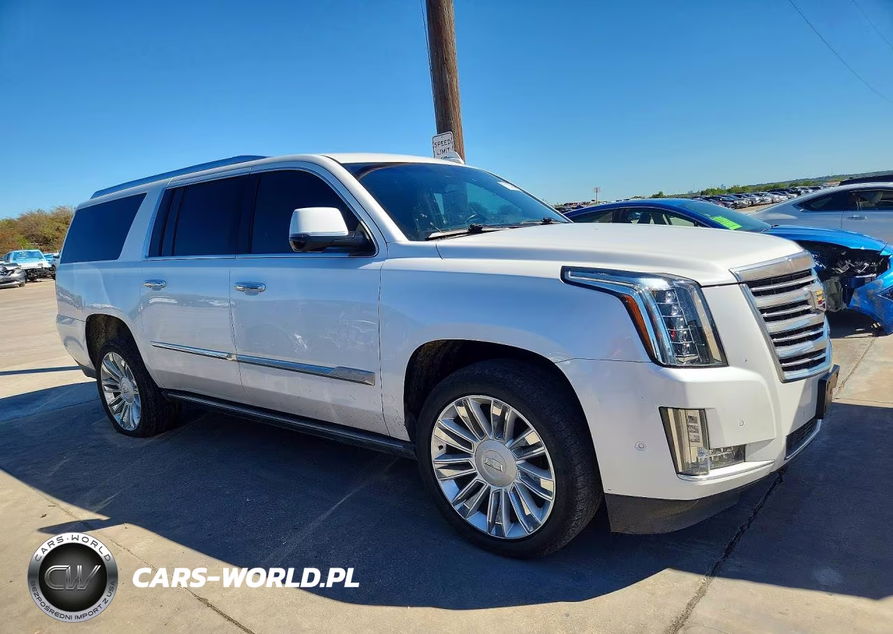 2019 Cadillac Escalade Esv Platinum VIN:1GYS4KKJ8KR176625 - 4