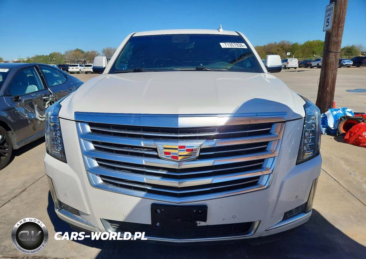 2019 Cadillac Escalade Esv Platinum VIN:1GYS4KKJ8KR176625 - 5