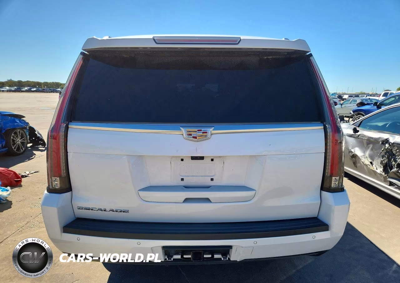 2019 Cadillac Escalade Esv Platinum VIN:1GYS4KKJ8KR176625 - 6