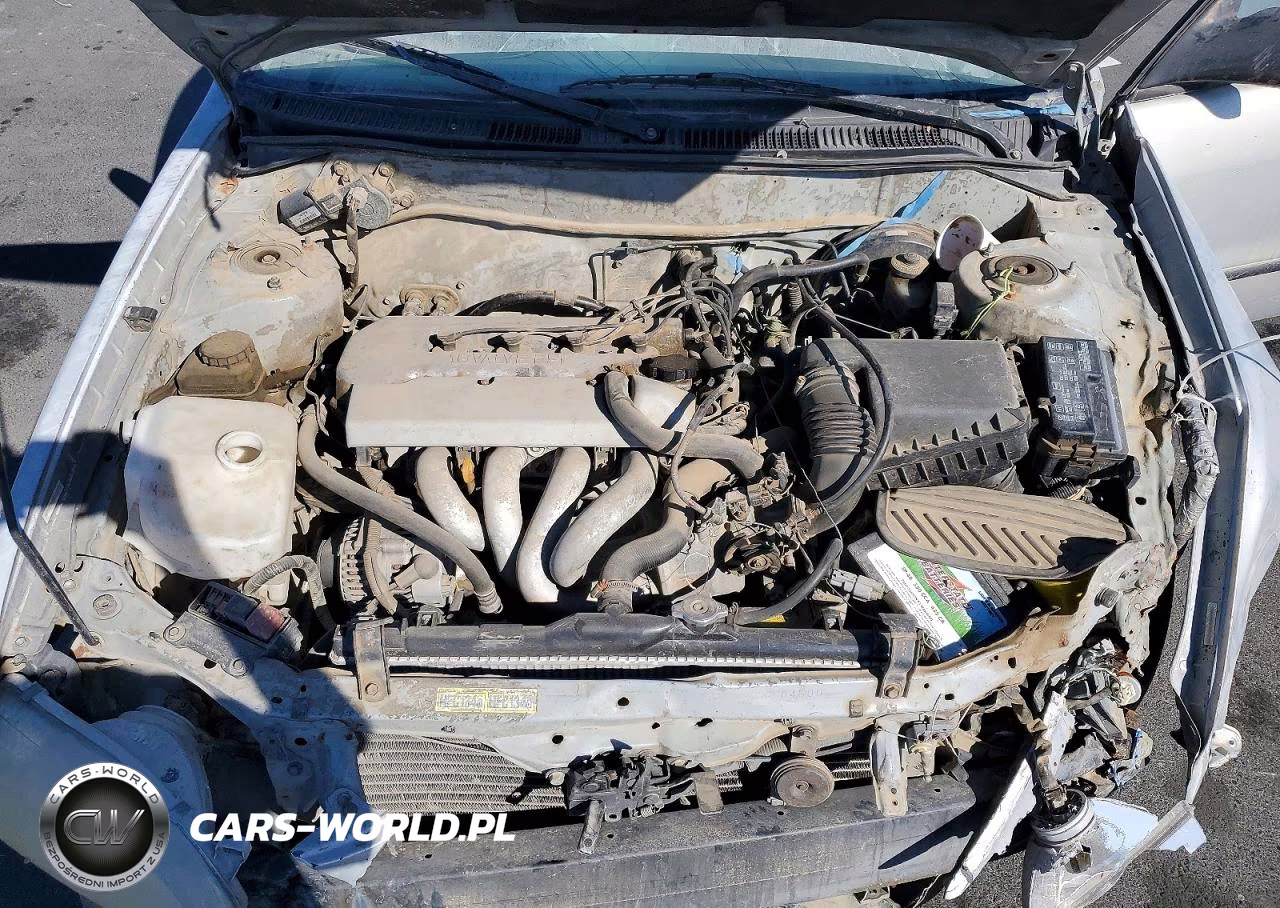 1999 Toyota Corolla Ve VIN:1NXBR12E5XZ218267 - 11