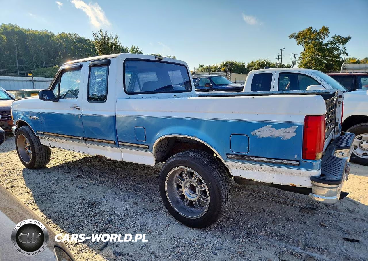 1993 Ford F150 VIN:1FTEX14N3PKA58759 - 2