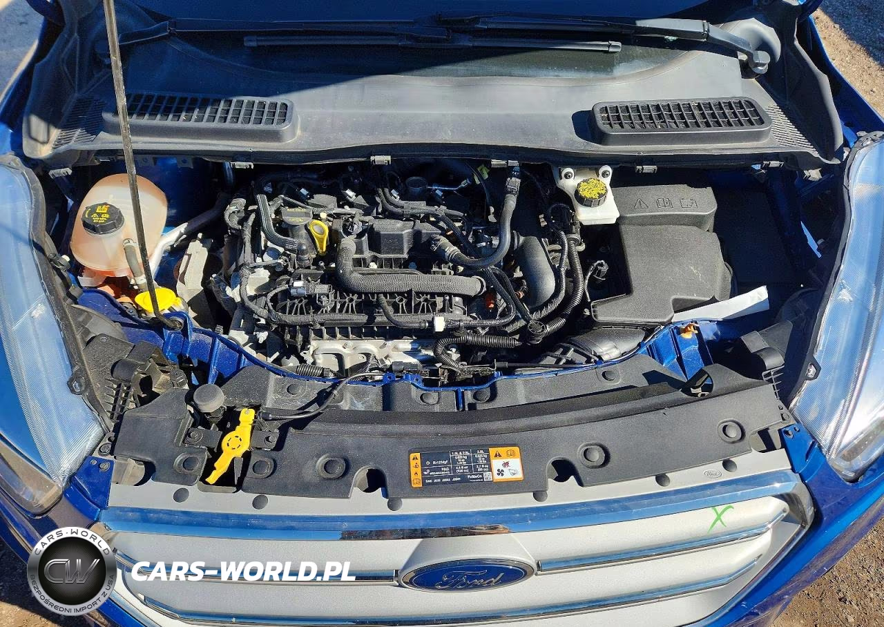 2019 Ford Escape Se VIN:1FMCU9GD5KUC37976 - 11