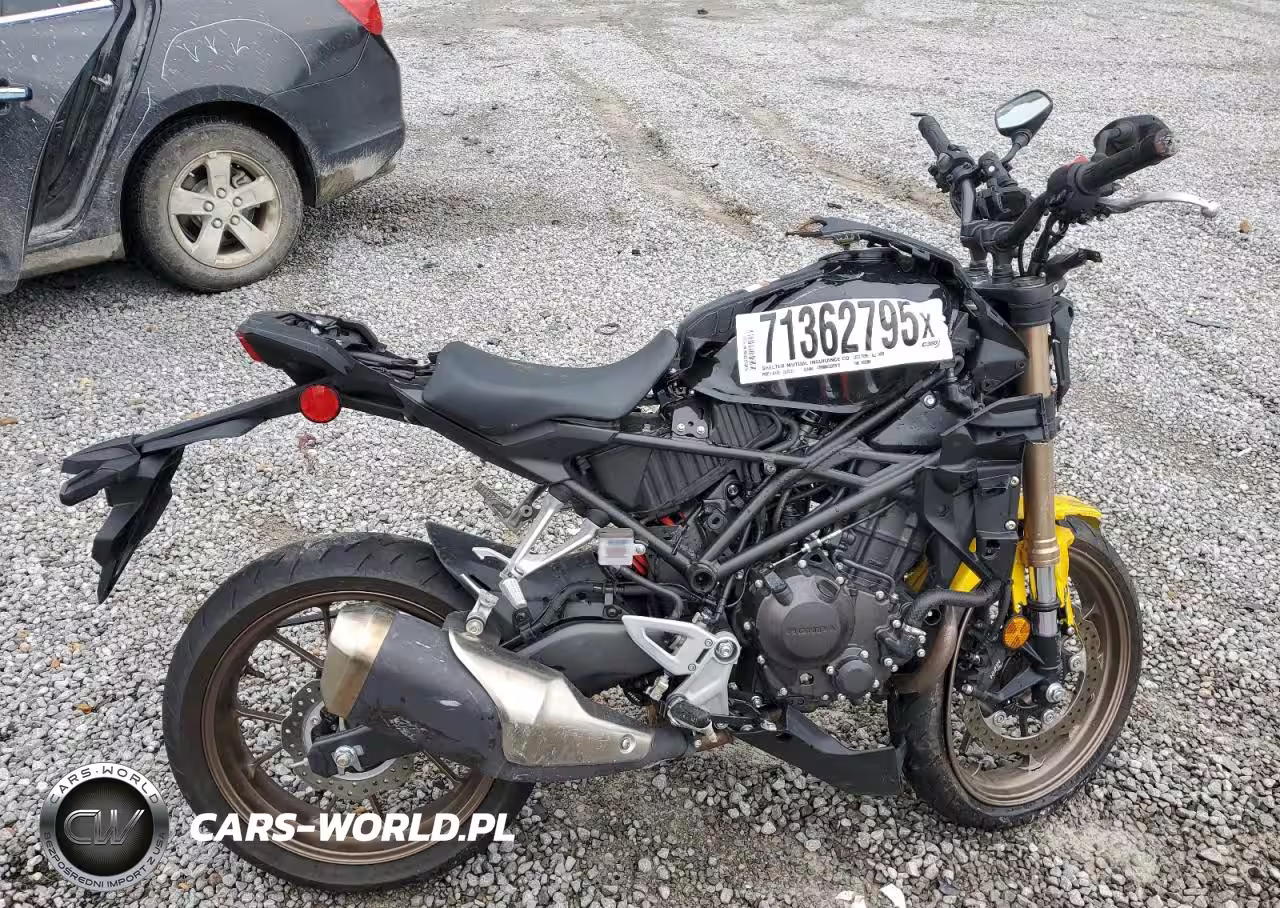 2024 Honda Cbf300 Na