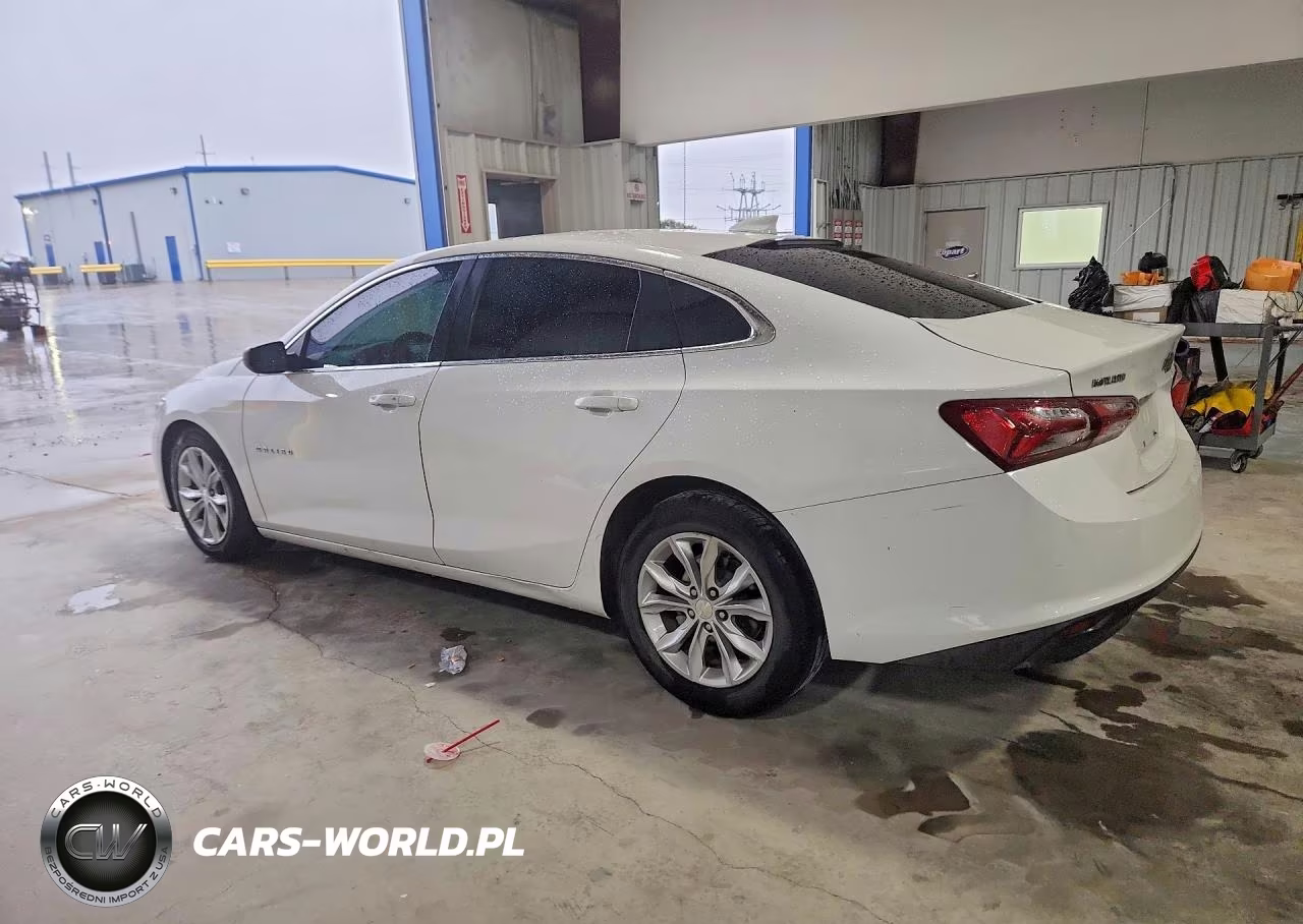 2019 Chevrolet Malibu Lt VIN:1G1ZD5ST4KF146054 - 2