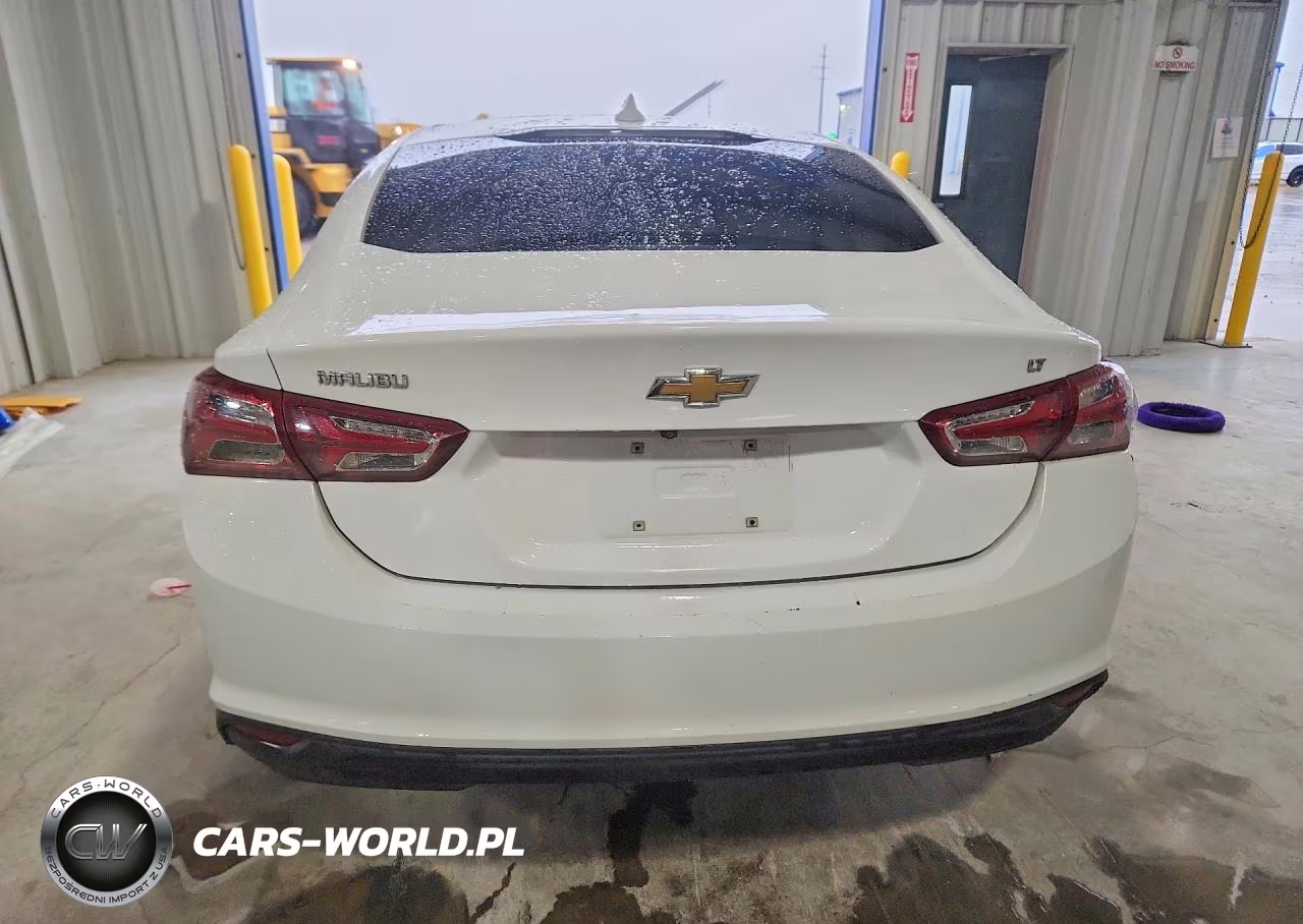 2019 Chevrolet Malibu Lt VIN:1G1ZD5ST4KF146054 - 6