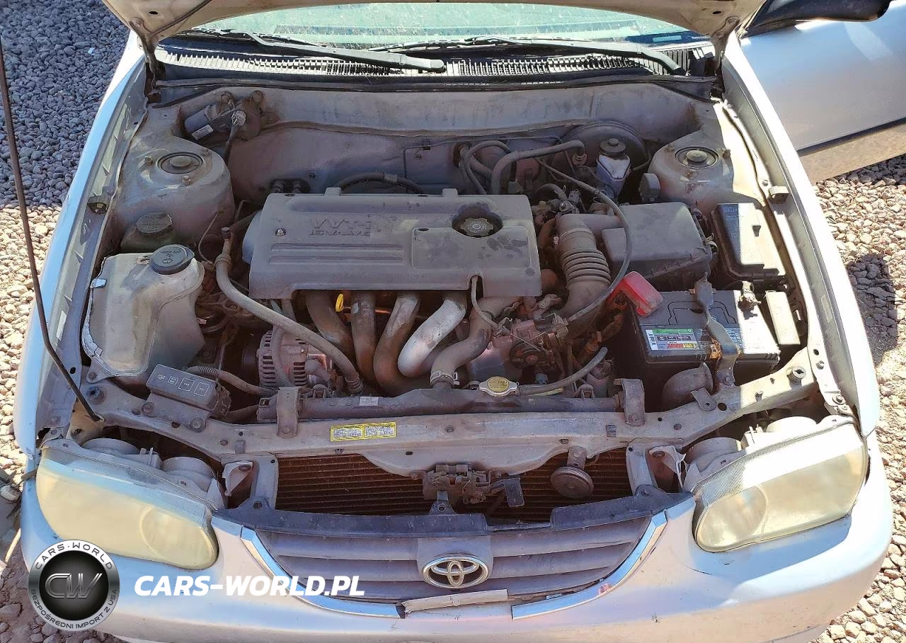 2002 Toyota Corolla Ce VIN:1NXBR12E92Z580336 - 11