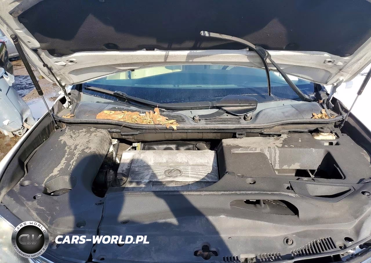 2015 Lexus Rx 350 Base VIN:2T2BK1BA1FC324888 - 11