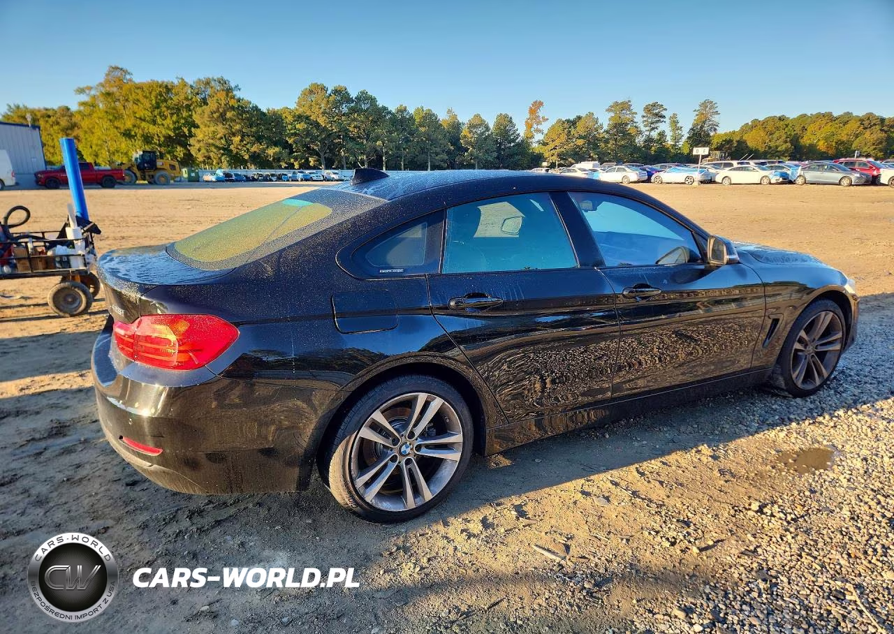 2015 BMW 428 Xi Gran Coupe Sulev VIN:WBA4C9C57FD331578 - 3