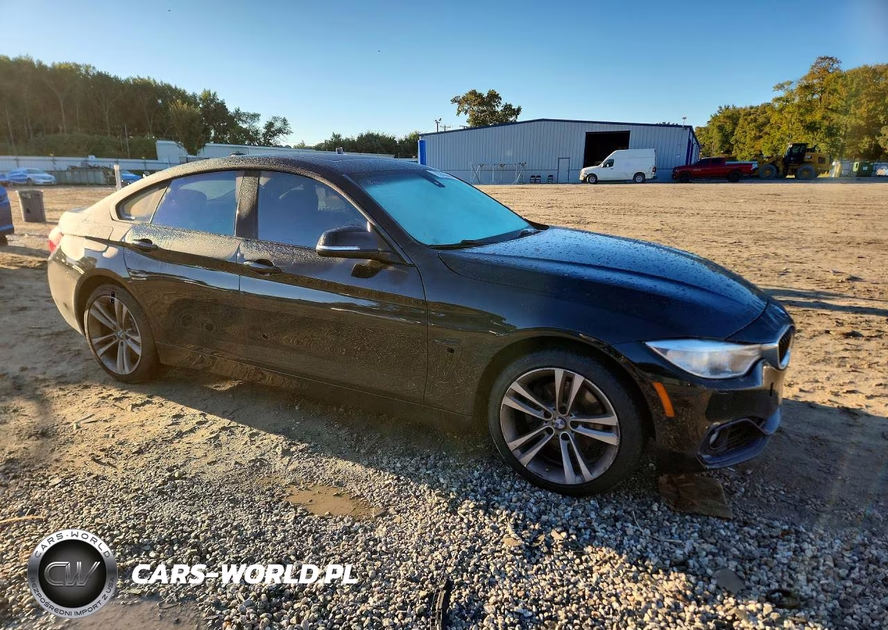 2015 BMW 428 Xi Gran Coupe Sulev VIN:WBA4C9C57FD331578 - 4