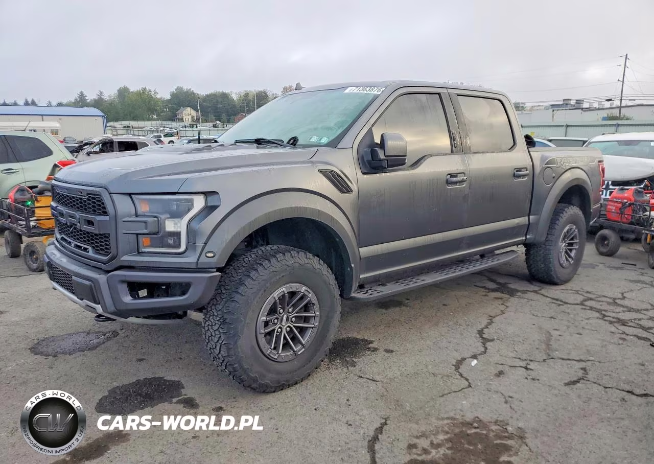 2020 Ford F150 Raptor VIN:1FTFW1RG5LFA04335 - 1