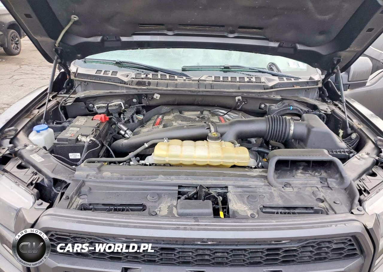 2020 Ford F150 Raptor VIN:1FTFW1RG5LFA04335 - 11