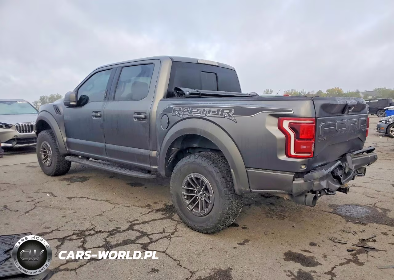 2020 Ford F150 Raptor VIN:1FTFW1RG5LFA04335 - 2
