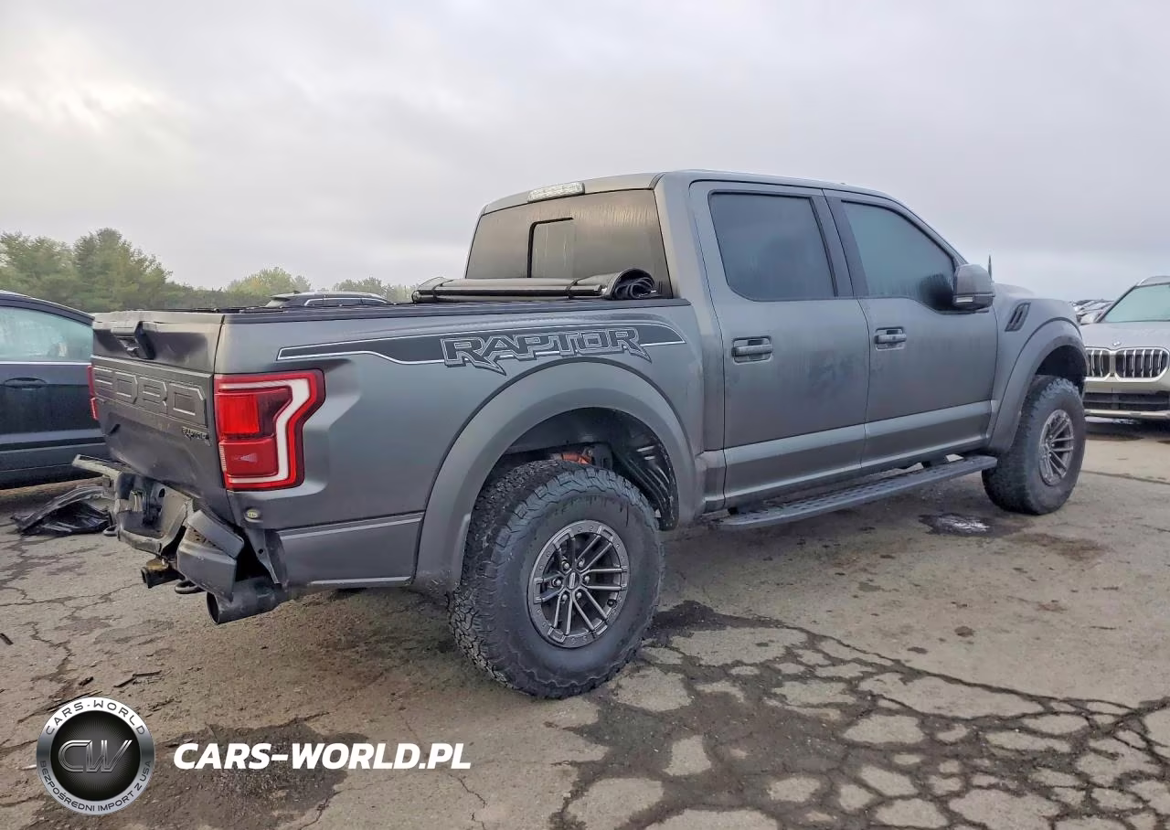 2020 Ford F150 Raptor VIN:1FTFW1RG5LFA04335 - 3