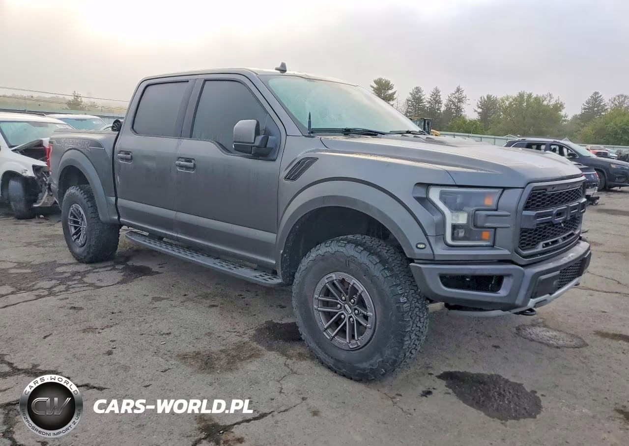 2020 Ford F150 Raptor VIN:1FTFW1RG5LFA04335 - 4