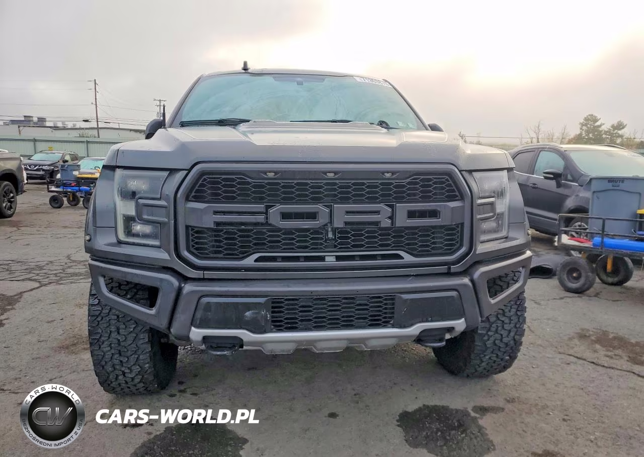 2020 Ford F150 Raptor VIN:1FTFW1RG5LFA04335 - 5