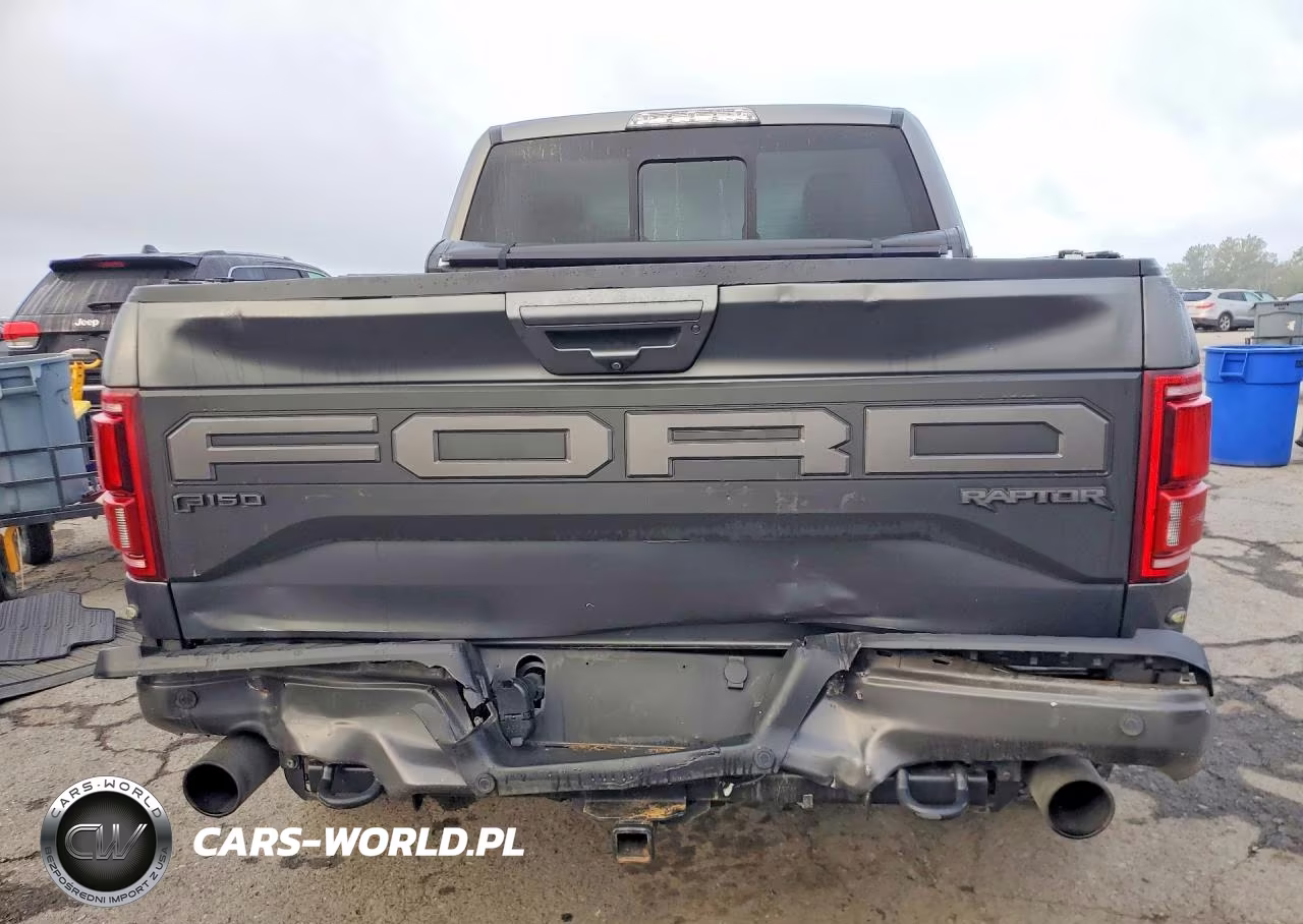 2020 Ford F150 Raptor VIN:1FTFW1RG5LFA04335 - 6