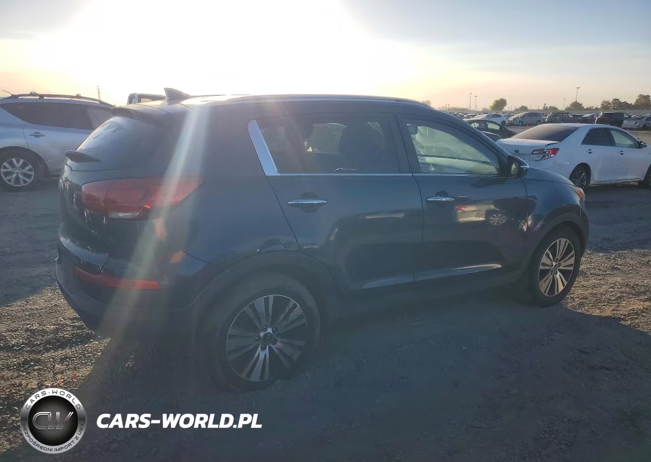 2015 Kia Sportage Ex VIN:KNDPC3AC4F7764630 - 3
