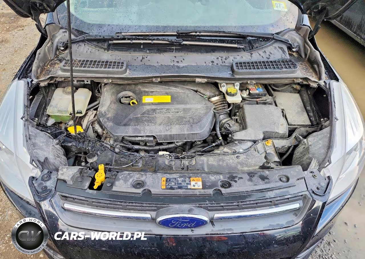 2016 Ford Escape Se VIN:1FMCU0GX2GUA59294 - 12