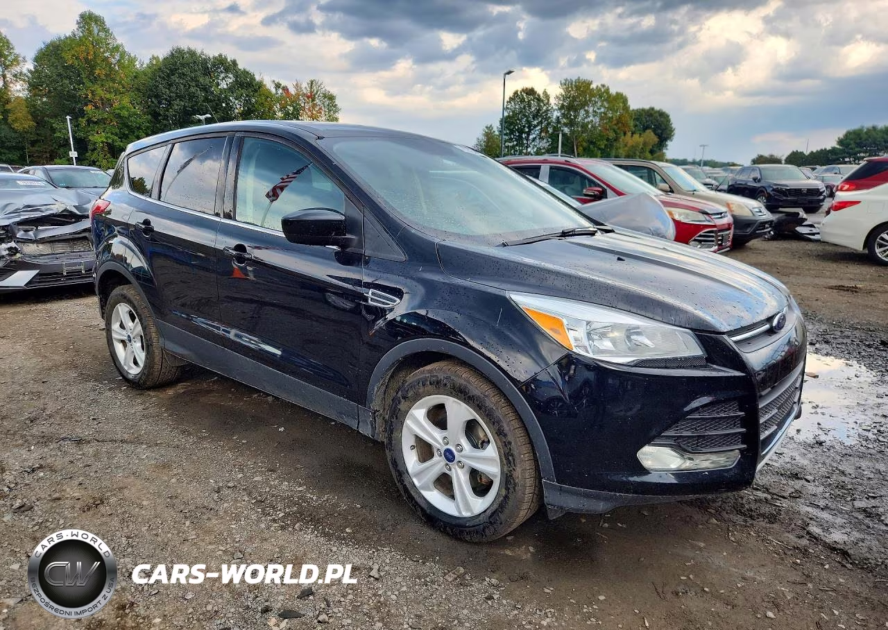 2016 Ford Escape Se VIN:1FMCU0GX2GUA59294 - 4