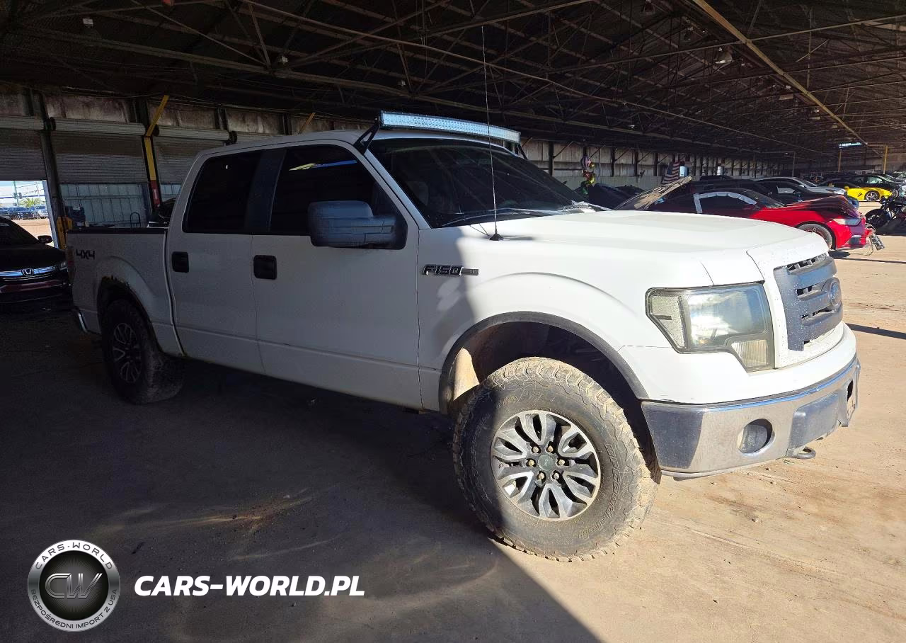2009 Ford F150 Supercrew VIN:1FTPW14V09FB37975 - 4