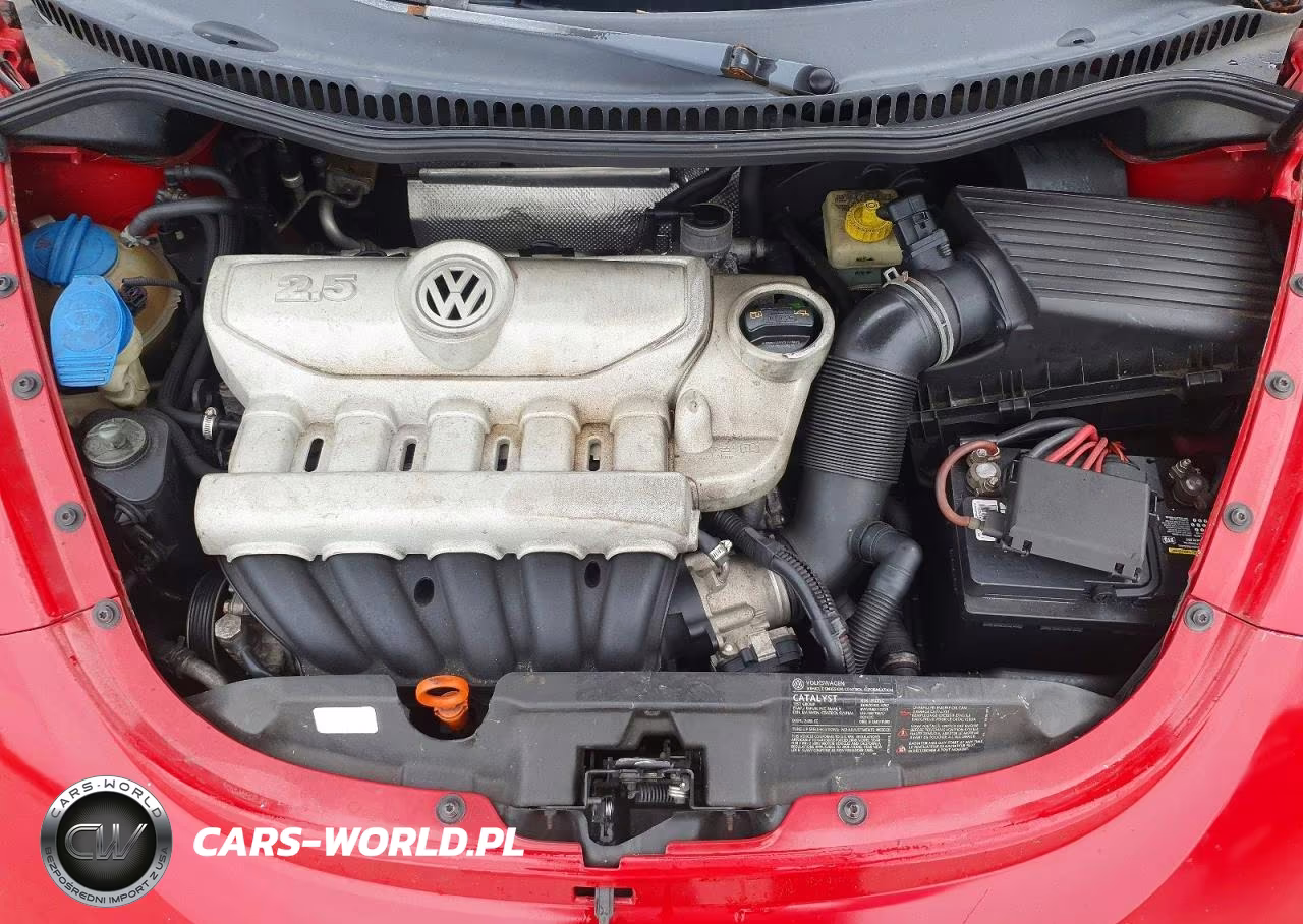 2008 Volkswagen New Beetle S VIN:3VWPG31C78M514552 - 11