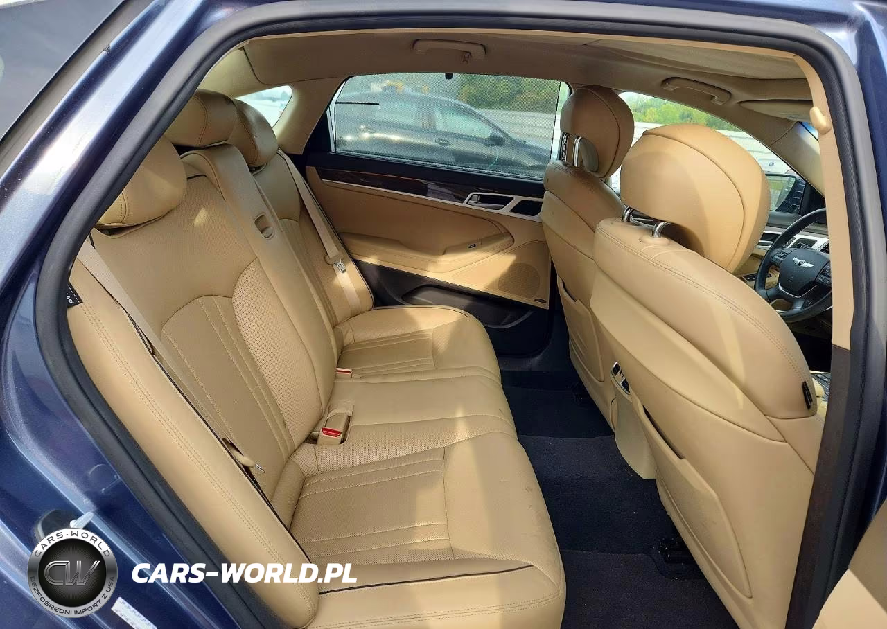 2015 Hyundai Genesis 3.8L VIN:KMHGN4JE6FU101784 - 10