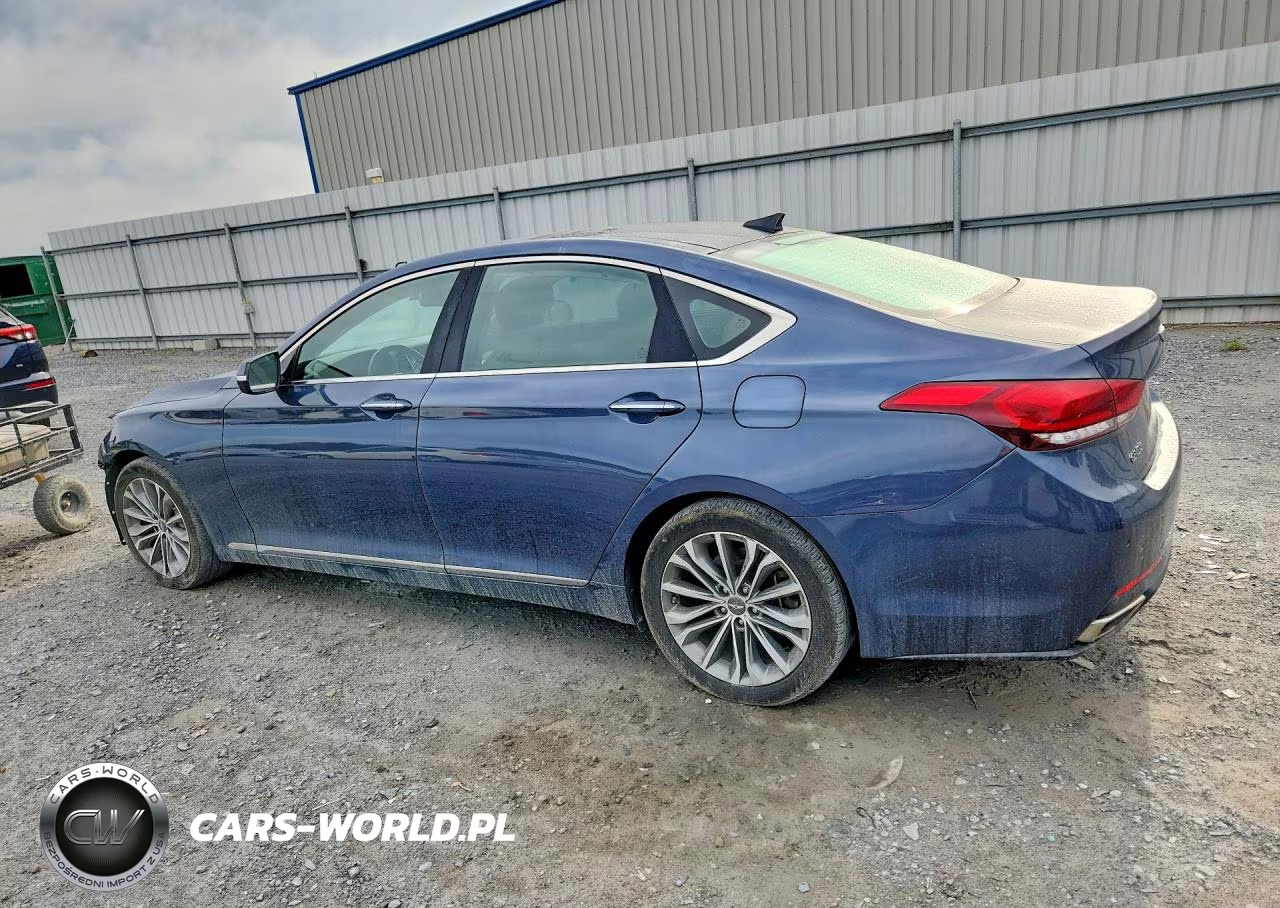 2015 Hyundai Genesis 3.8L VIN:KMHGN4JE6FU101784 - 2