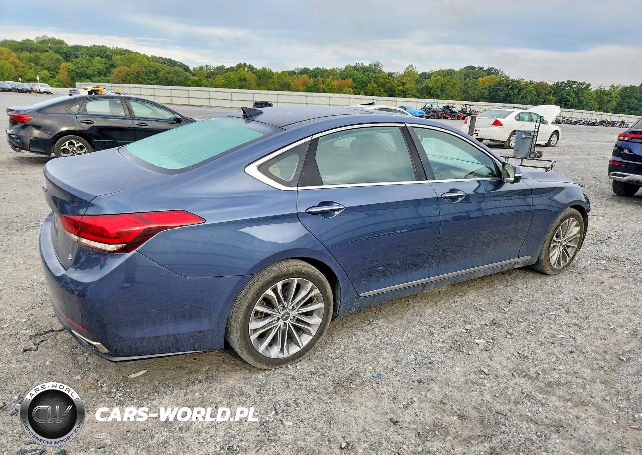 2015 Hyundai Genesis 3.8L VIN:KMHGN4JE6FU101784 - 3