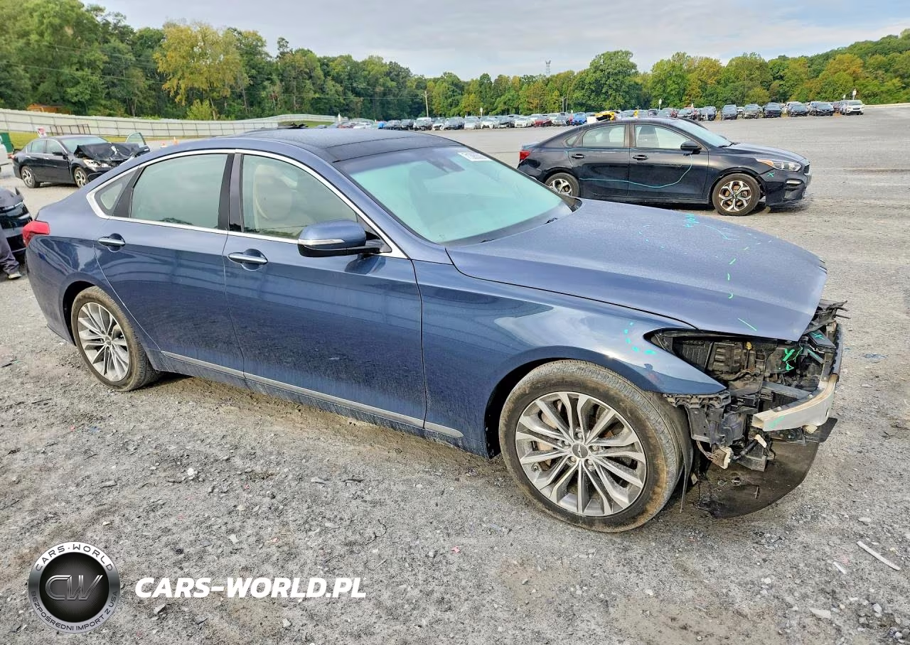 2015 Hyundai Genesis 3.8L VIN:KMHGN4JE6FU101784 - 4