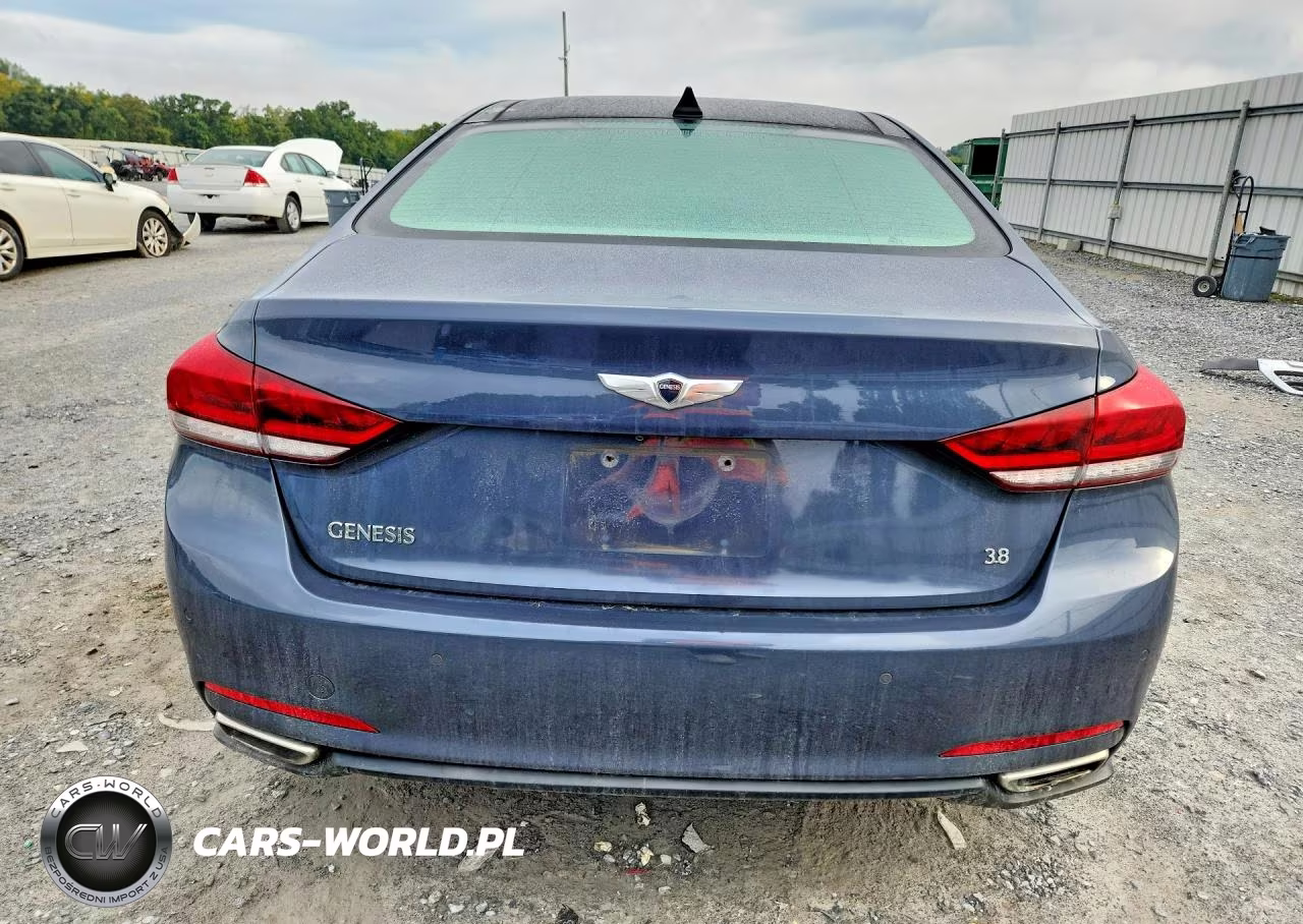2015 Hyundai Genesis 3.8L VIN:KMHGN4JE6FU101784 - 6