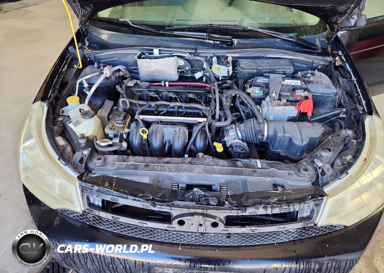 2009 Ford Focus Ses VIN:1FAHP36N09W124353 - 11