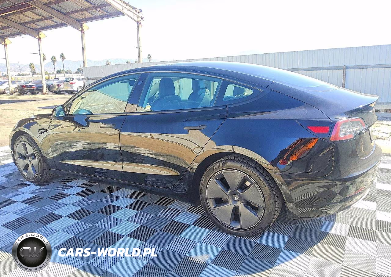 2023 Tesla Model 3 VIN:5YJ3E1EA5PF454679 - 2