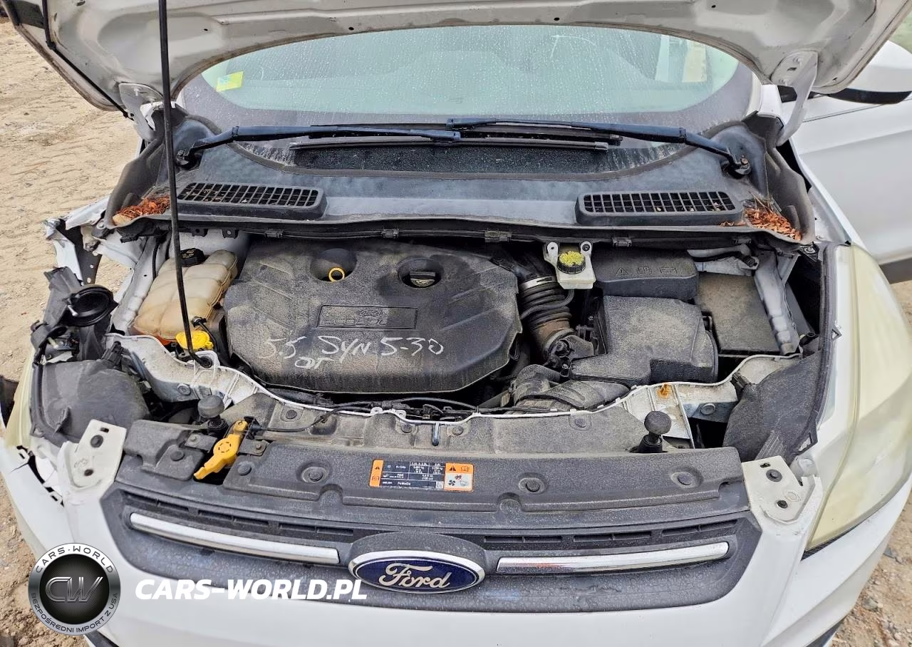 2016 Ford Escape Se VIN:1FMCU0G95GUC21033 - 12