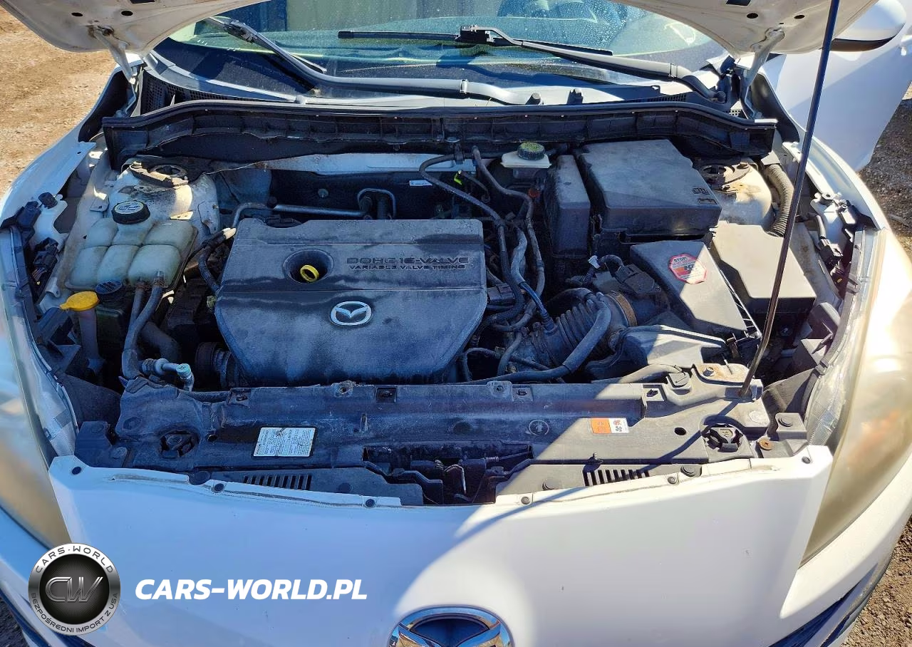 2010 Mazda 3 I VIN:JM1BL1SF7A1238513 - 11