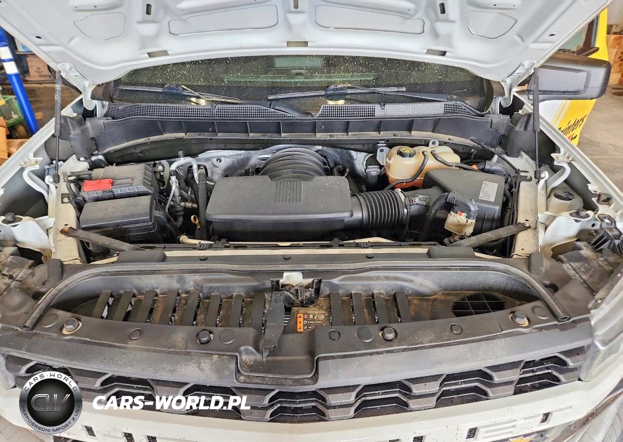 2020 Chevrolet Silverado C1500 VIN:3GCNWAEF1LG293138 - 11