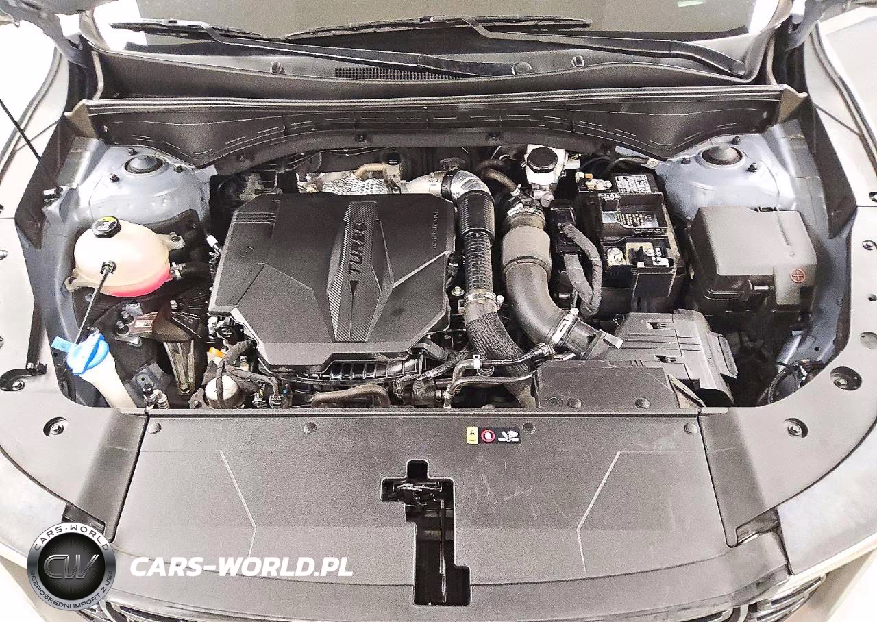 2025 Kia Sorento X-Line Sx Prestige VIN:5XYRKDJF4SG356833 - 12