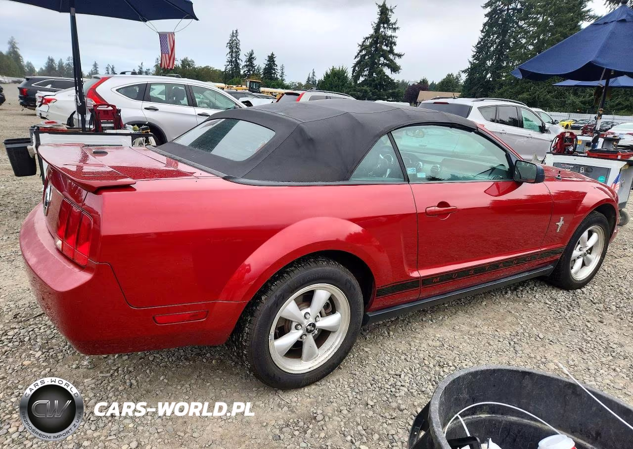 2008 Ford Mustang VIN:1ZVHT84N885129761 - 3
