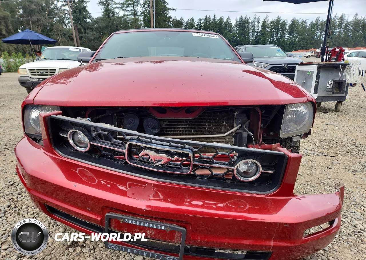 2008 Ford Mustang VIN:1ZVHT84N885129761 - 5