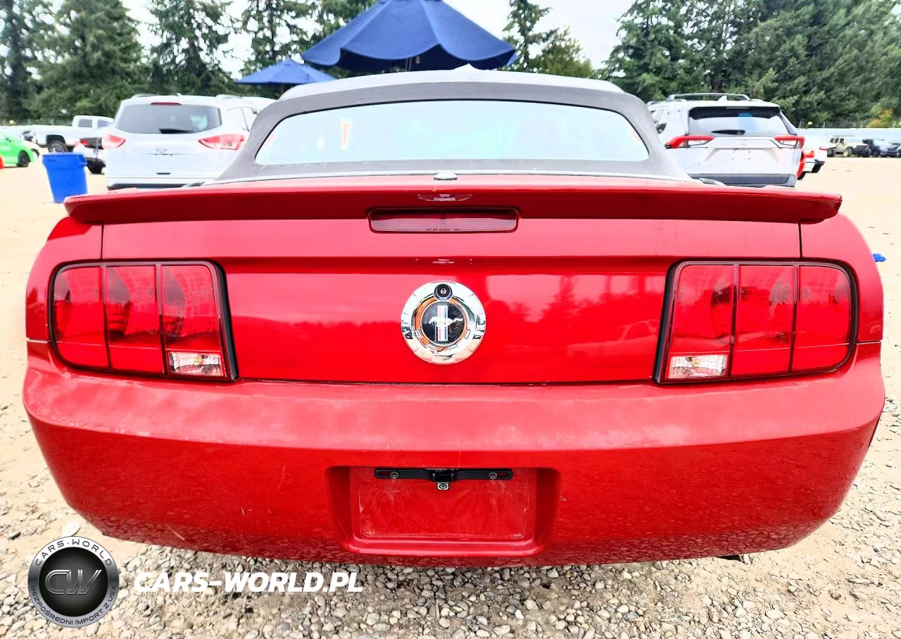 2008 Ford Mustang VIN:1ZVHT84N885129761 - 6
