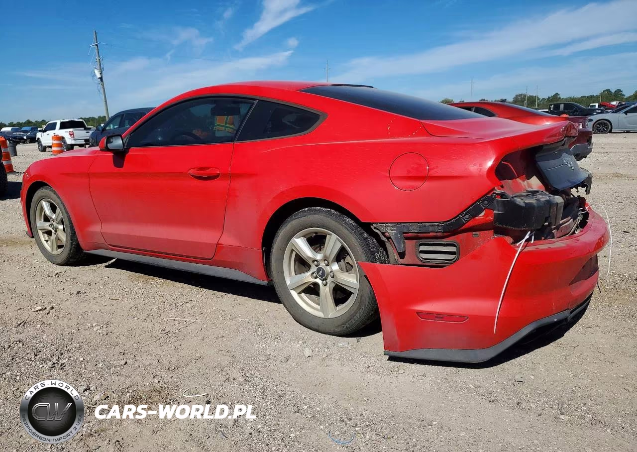 2018 Ford Mustang VIN:1FA6P8TH9J5113820 - 2