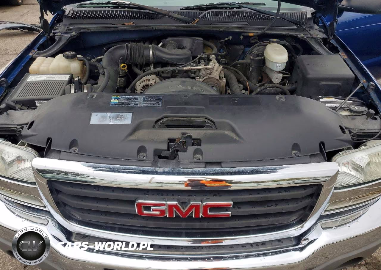 2003 GMC New Sierra K1500 VIN:1GTEK14X43Z243145 - 11