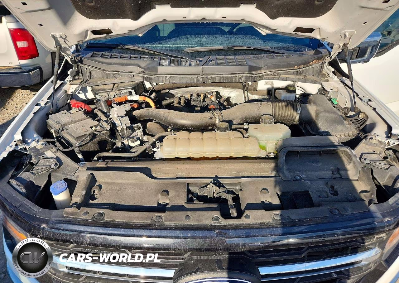 2024 Ford F150 Xlt VIN:1FTFW3LD0RFB22666 - 11